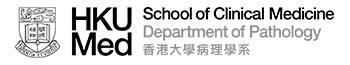 The University of Hong Kong, Queen Mary Hospital logo