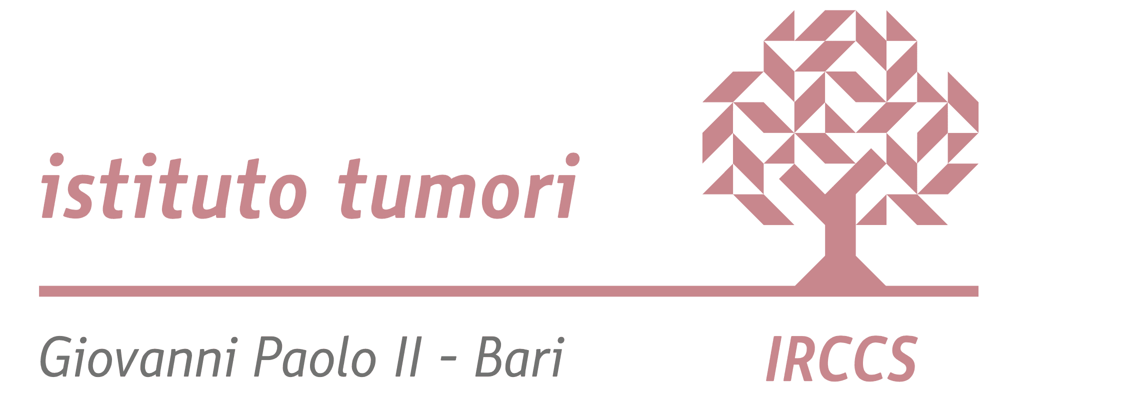 IRCCS Istituto Tumori Giovanni Paolo II logo